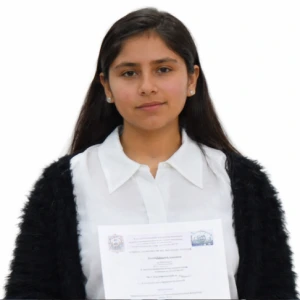 Mijal Artica, Mechanical and Electrical Designer